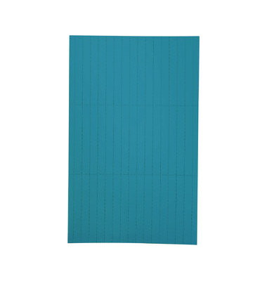 Einlegeetiketten BLAU 20 x 60 mm 90 Stück Einlegeetiketten BLAU 20 x 60 mm 90 Stück