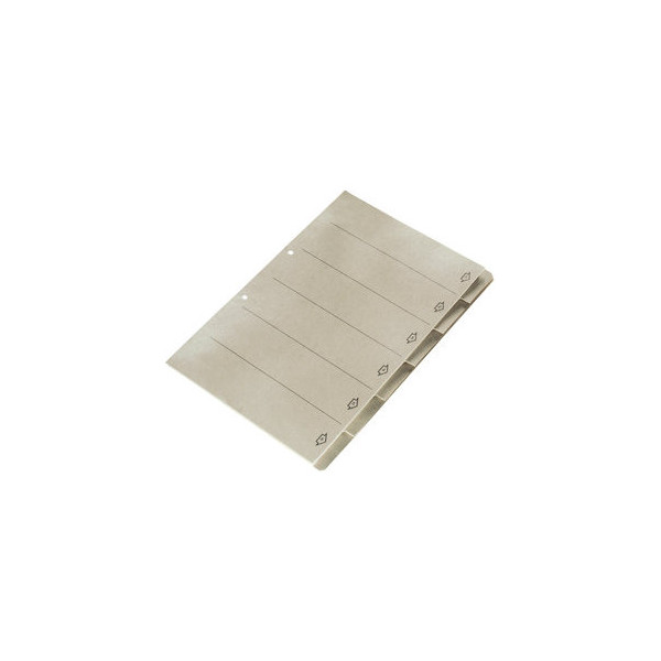 25 Stück Leitz Kartonregister 1882 00 85, 6-teilig blanko, A4, 320 g/m², graue Taben, 6-teilig 4002432356683 Leitz