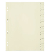 Trennblätter 400004664 A4 chamois 200g 