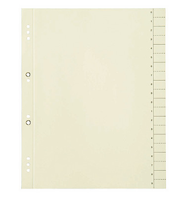 Trennblätter 400004664 A4 chamois 200g 