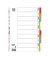 Kartonregister 400034720, 10-teilig blanko, A4, 230 g/m&sup2;, farbige Taben, 10-teilig