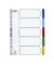Kunststoffregister 400013909, 5-teilig blanko, A4, 120&micro;m, farbige Taben, 5-teilig