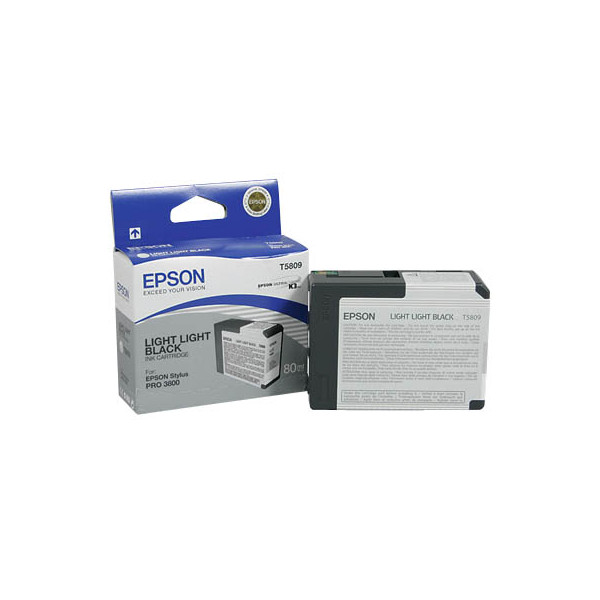 Epson Druckerpatrone T5809 C13T580900 (kompatibel zu Epson T509), schwarz hell hell 0010343858855 Epson