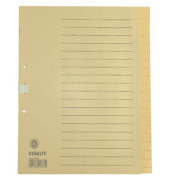 Kartonregister 621006, 20-teilig blanko, A4, 100 g/m&sup2;, chamois Taben, 20-teilig