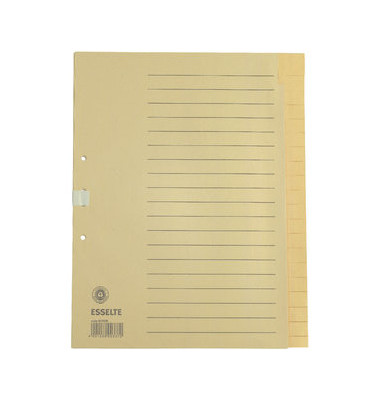 Kartonregister 621006, 20-teilig blanko, A4, 100 g/m², chamois Taben, 20-teilig