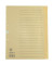 Kartonregister 621006, 20-teilig blanko, A4, 100 g/m², chamois Taben, 20-teilig
