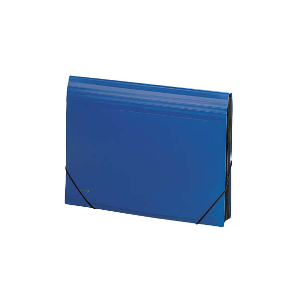 4250037409277 - Fächermappe 70006-40 A4 mit 12 Fächern 12-teilig blanko Kunststoff blau 4250037409277 FolderSys