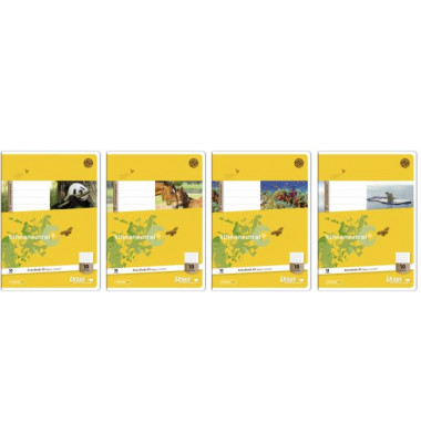 Schulheft Basic A5 Lineatur 10 kariert mit Rand weiß 32 Blatt Schulheft Basic A5 Lineatur 10 kariert mit Rand weiß 32 Blatt
