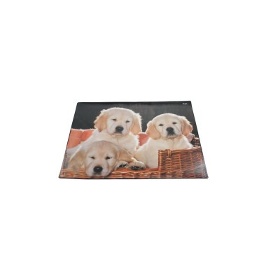 Schreibunterlage 46581 mehrfarbig Hunde 53x40cm