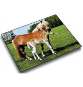 Schreibunterlage Schreibunterlage Motiv Pferd und Fohlen 46587 mehrfarbig Pferde 53x40cm