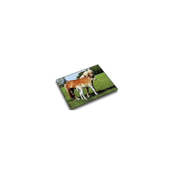 4006677465872 - Schreibunterlage Schreibunterlage Motiv Pferd und Fohlen 46587 mehrfarbig Pferde 53x40cm 4006677465872 Läufer