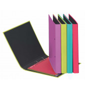 Ringbuch Trend Colours 20401-00, A5 2 Ringe 20mm Ring-Ø PPolyproplyen (PP) kaschierter Karton farbig sortiert
