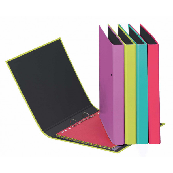 12 Stück Pagna Ringbuch Trend Colours 20401-00, A5 2 Ringe 20mm Ring-Ø PPolyproplyen (PP) kaschierter Karton farbig sortiert 4009212002143 Pagn