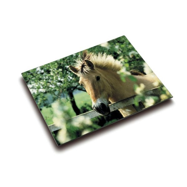 4006677466404 - Schreibunterlage 46640 braun grün Pferde 53x40cm 4006677466404 Läufer