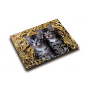 Schreibunterlage Schreibunterlage Motiv Katze 46637 mehrfarbig Katze "Katzen im Stroh" 53x40cm