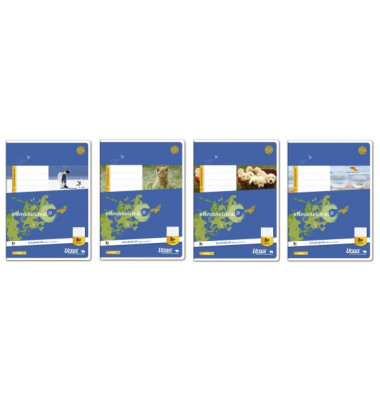 Schulheft Basic A5 Lineatur 8f rautiert mit Rand weiß 16 Blatt Schulheft Basic A5 Lineatur 8f rautiert mit Rand weiß 16 Blatt