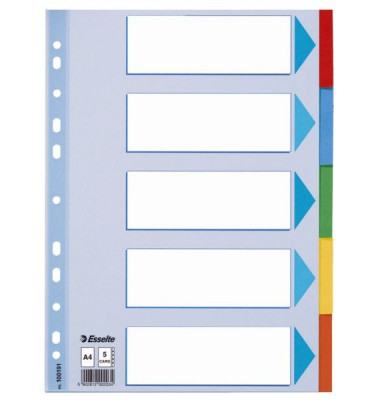 Kartonregister 100191, 5-teilig blanko, A4, 160 g/m², farbige Taben, 5-teilig
