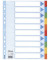 Kartonregister 100193, 10-teilig blanko, A4, 160 g/m², farbige Taben, 10-teilig