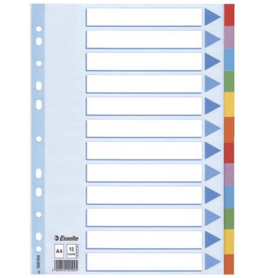 Kartonregister 100194, 12-teilig blanko, A4, 160 g/m², farbige Taben, 12-teilig