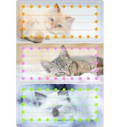 Schuletiketten Katzen
