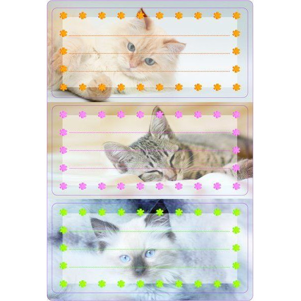 4008705055697 - 10 x HERMA Buchetiketten 76x36mm Vario Katzen beglimmert VE=2 Blatt