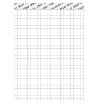 Notizblock 60845420, kariert, A6, 70g, 48 Blatt