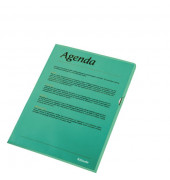 Sichthüllen Standard Plus 54838, A4, grün, transluzent genarbt, oben & rechts offen, 