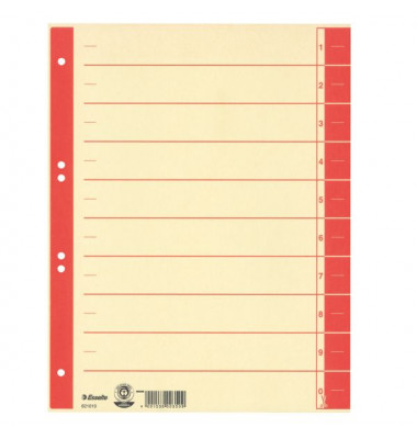 Trennblätter 621019 A4 chamois/rot 230g 