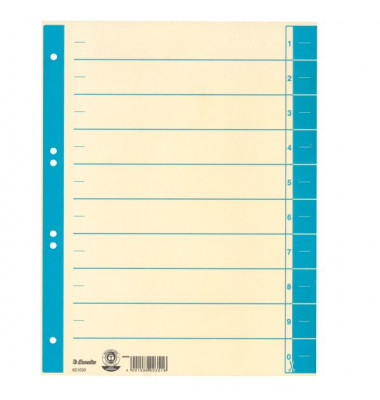 Trennblätter 621020 A4 chamois/hellblau 230g 