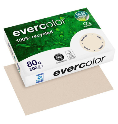 Recyclingpapier evercolor 40259C elfenbein pastell A4 80g 