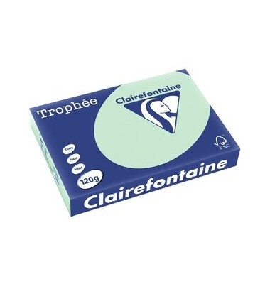 Kopierpapier Trophee 1216C hellgrün pastell A4 120g 