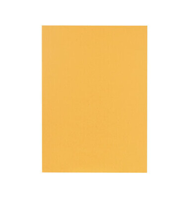 Aktendeckel - 80001233, A4 chamois Recyclingkarton 250g
