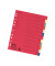 Kartonregister Farbregister 12tlg. 10615334, 12-teilig blanko, A4+, 220 g/m&sup2;, farbige Taben, 12-teilig