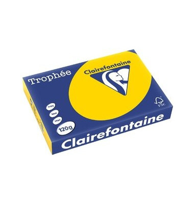 Kopierpapier Trophee 1206C goldgelb pastell A4 120g 