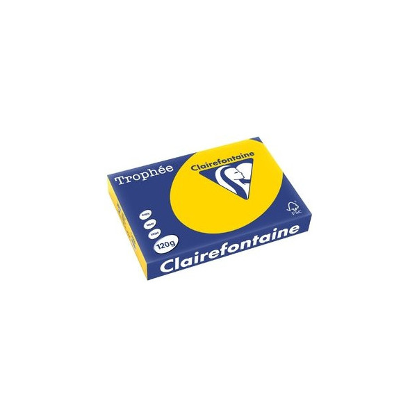 Clairefontaine Kopierpapier Trophee 1206C goldgelb pastell A4 120g 3329680120608 Clairefontaine 250 Blatt