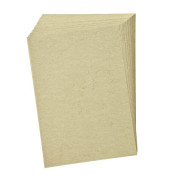 Elefantenhaut/950410 DIN A4 chamois 110 g/qm Inh.50
