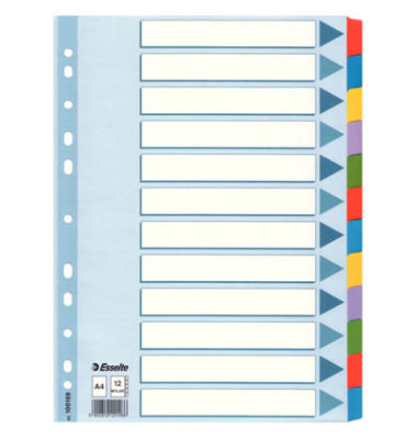 Kartonregister 100169, 12-teilig blanko, A4, 160 g/m², farbige Taben, 12-teilig