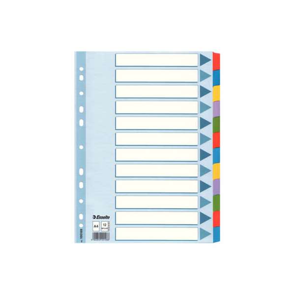 10 Stück Esselte Kartonregister 100169, 12-teilig blanko, A4, 160 g/m², farbige Taben, 12-teilig 5902812221466 Esselte