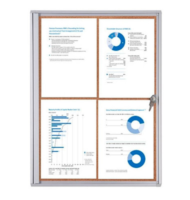 Schaukasten Economy XS Kork SCXSC4XA4, 4xA4 (A2), braun/silber, Kork, pinnbar