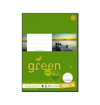 Notizblock 044380 10, liniert, A4, 70g, grün, 100 Blatt