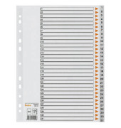 Kunststoffregister 93231, 1 bis 31, A4, graue Taben, 31-teilig