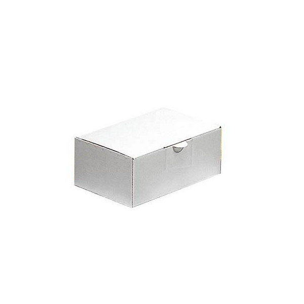 4255704306637 - Versandkarton 419 150 weiß bis DIN A4 innen 310x225x124mm Wellpappe 1-wellig 4255704306637 20 Stück 4255704306637 - Versandkarton 419 150 weiß bis DIN A4 innen 310x225x124mm Wellpappe 1-wellig 4255704306637 20 Stück