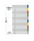Kunststoffregister 6747-27 blanko A4+ 0,12mm farbige Taben 10-teilig