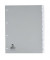 Kunststoffregister KF01853 blanko A4+ 0,12mm graue Fenstertabe zum wechseln 10-teilig