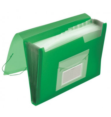 F&auml;chermappe KF02480, gr&uuml;n, A4, 13 F&auml;cher