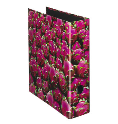 Motivordner maX.file Fruits A4 breit 80mm Drachenfruchtmotiv