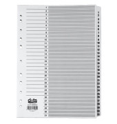 Kartonregister Mylar 083-0464-008, 1 bis 31, A4, 170 g/m², weiße Taben, 31-teilig