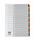 Kartonregister Mylar 083-0464-001, 1 bis 31, A4, 170 g/m², farbige Taben, 31-teilig