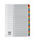 Kartonregister 1-31 A4 170g farbige Taben 31-teilig