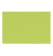 Designbriefumschlag colors 2100019129, B6, nassklebend, 80g, grün